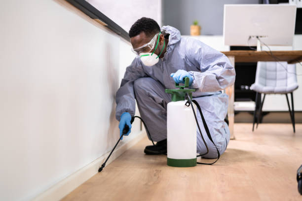 Professional Pest Control in Biltmore, TN